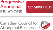 Progressive Aboriginal Logo